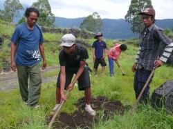 reforestation_02 reforestation_02