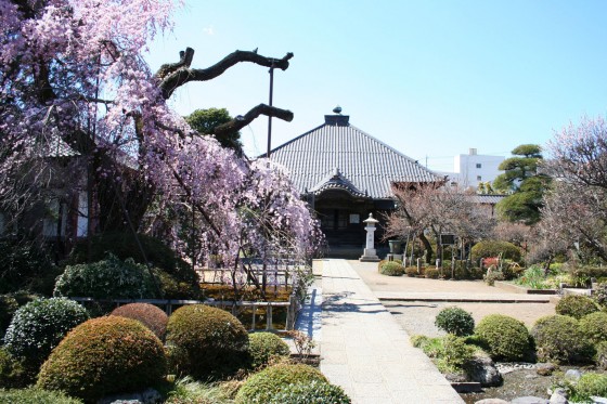 kongoji