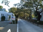 青山霊園 青山霊園