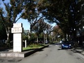 小平霊園 小平霊園